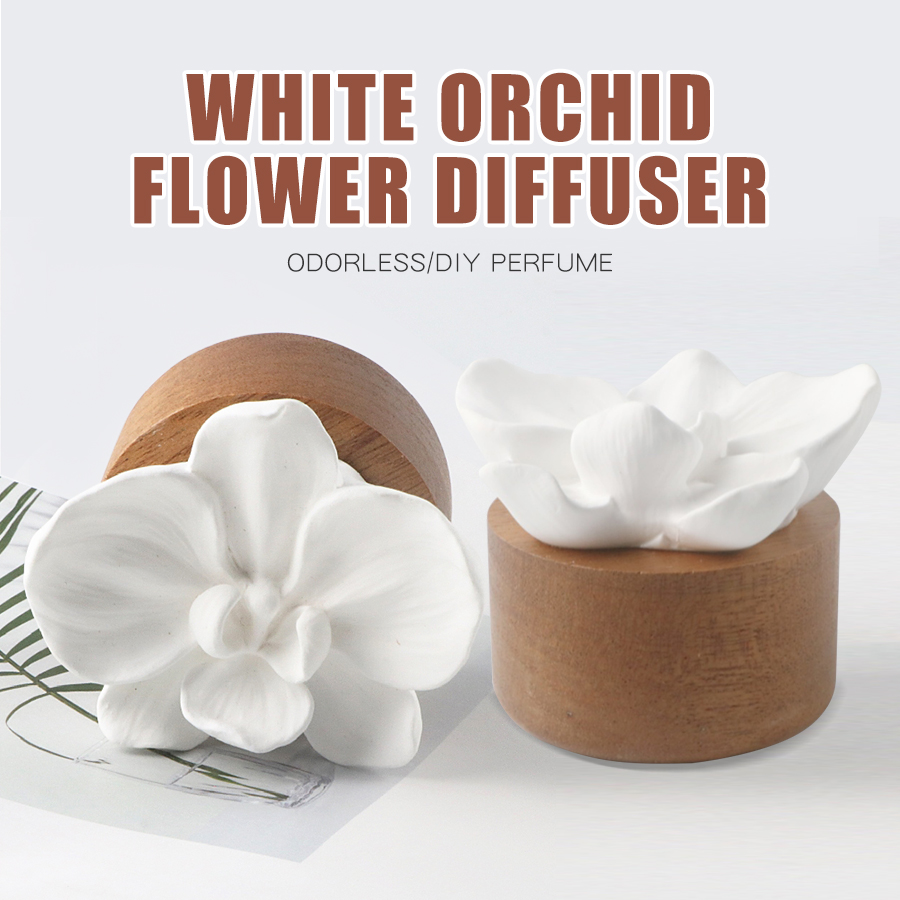 1PC diffusore di aromi di fior - Home Fragrance Aesop recensione e prezzo