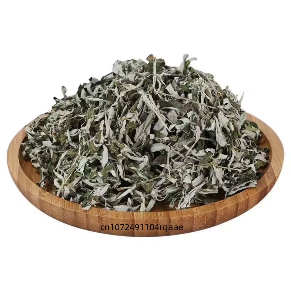 Foglie di Artemisia Argyi Essi - Home Fragrance That Lasts Long recensione e prezzo