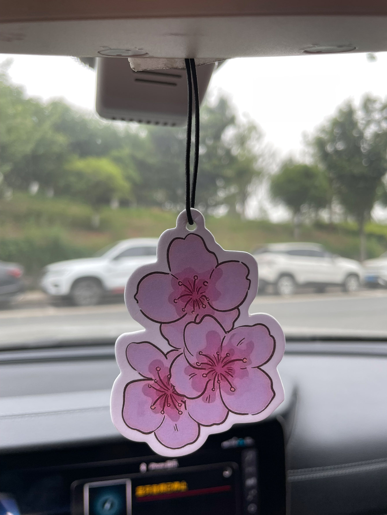 Profumo per Auto Neutro a Cinq - Home Fragrance Logo recensione e prezzo